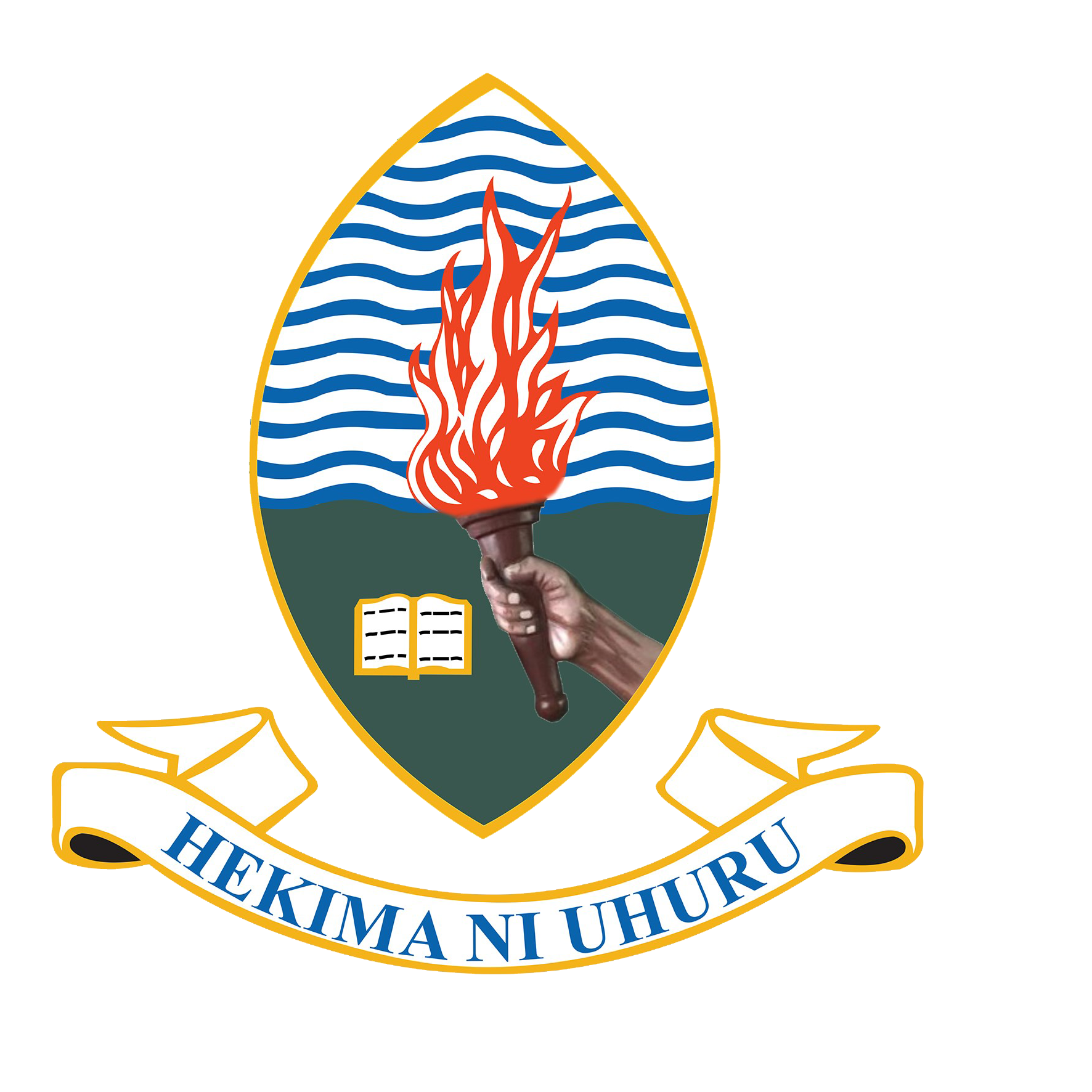 UDSM